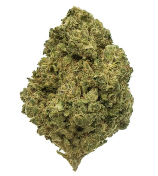 CRITICAL JACK 10GR CBD