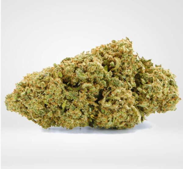 GORILLA FTS 2GR